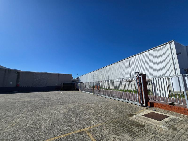 To Let commercial Property for Rent in Airport Industria Western Cape